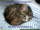 Фотография Яночка Жук
