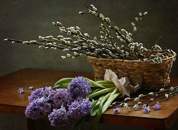 №37, Наташа Тонконог, Кривой Рог №37, Наташа Тонконог, Кривой Рог