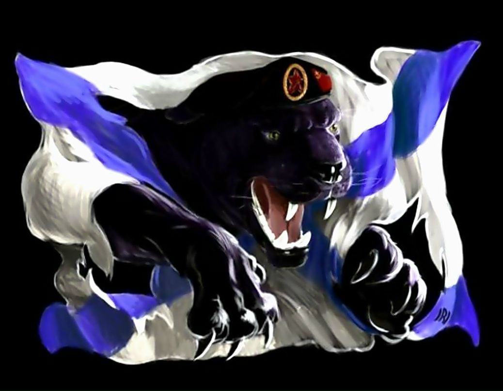 Денис Фокин | Вязьма