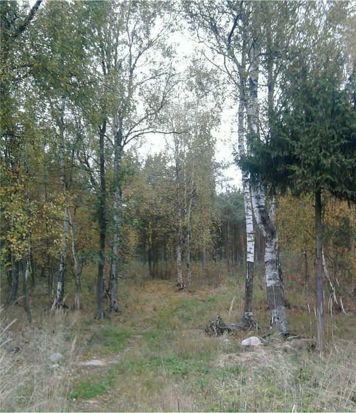 Anastasia Vinogradova | Санкт-Петербург