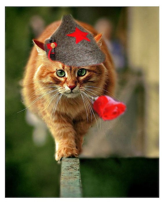 Марат Х | Казань