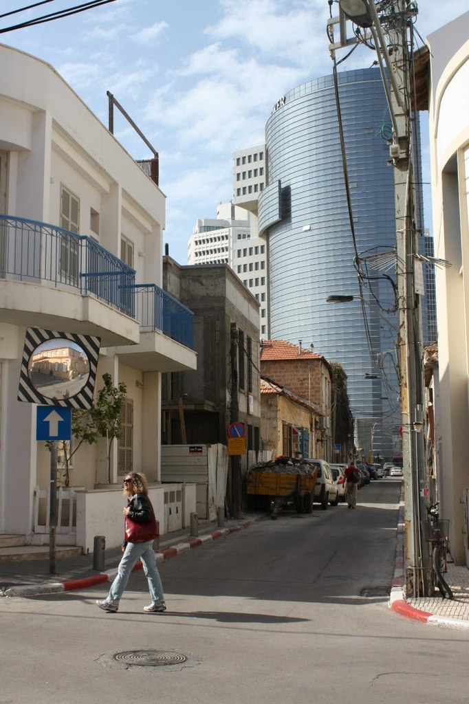 Елена Ерихова | Тель-Авив