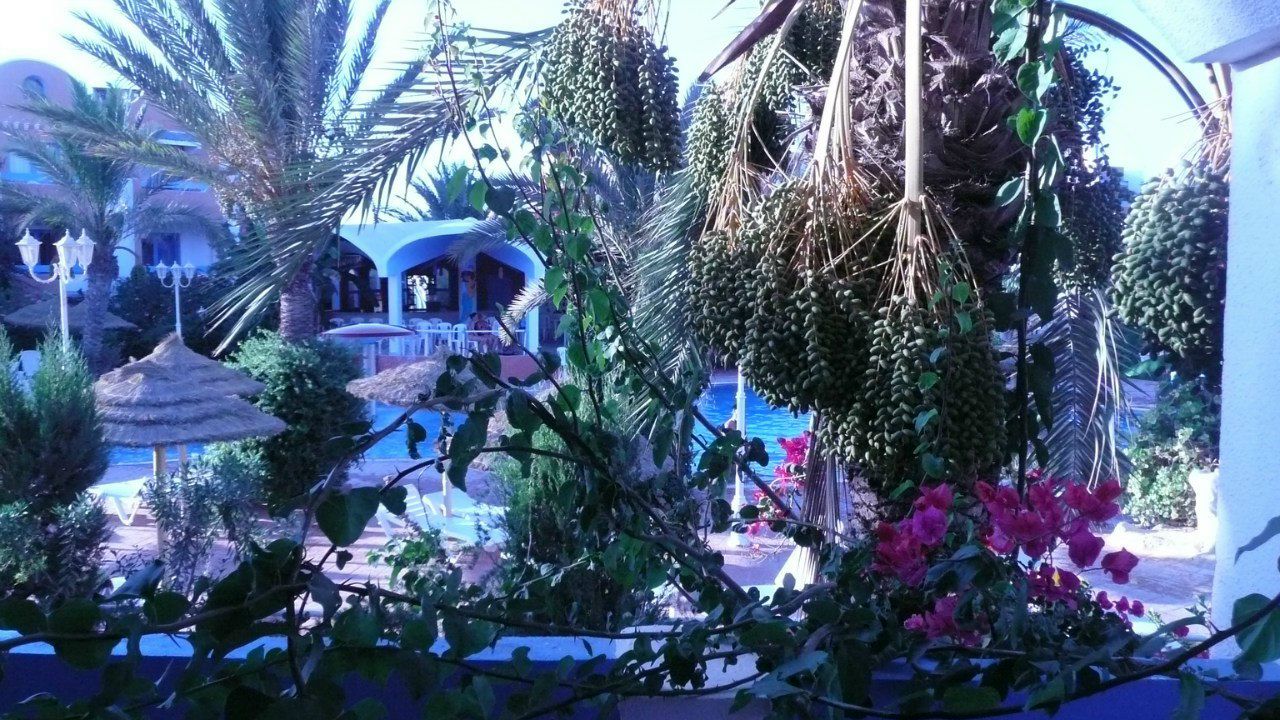 Татьяна Заботина Евгеньевна | Колпино