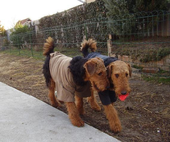 №17, Elena Kertes, Lucca №17, Elena Kertes, Lucca