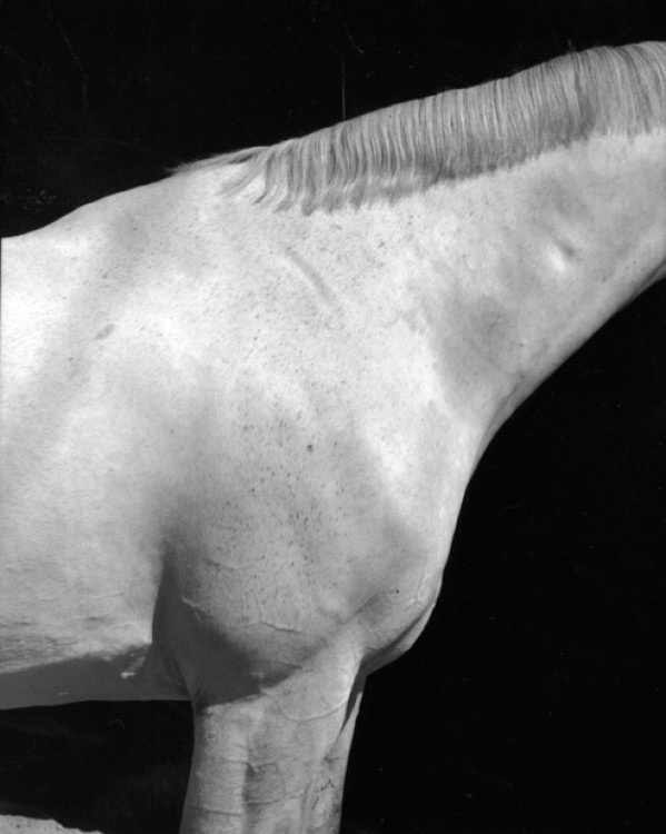 Любовь Созонова | Санкт-Петербург