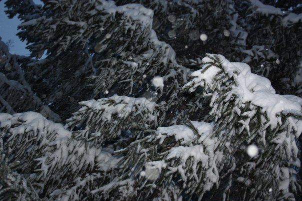 №118, Лидия Абушаева, Самара №118, Лидия Абушаева, Самара