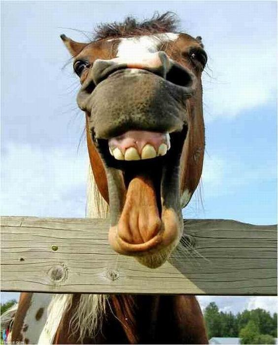 Анастасия Ешакина | Новосибирск