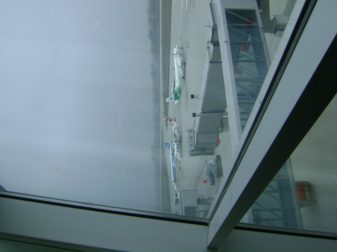 Тарас Кухарук | Львов