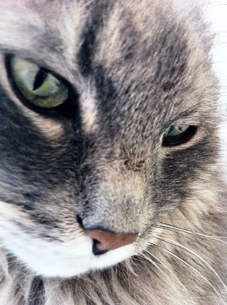 Наталья Кравцова | Москва