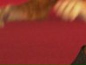 Сергей Николаевич MusketeeR⎷⎛ | Белая Церковь