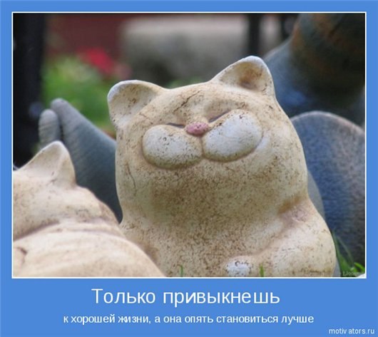 Анастасия Мачужак | Москва