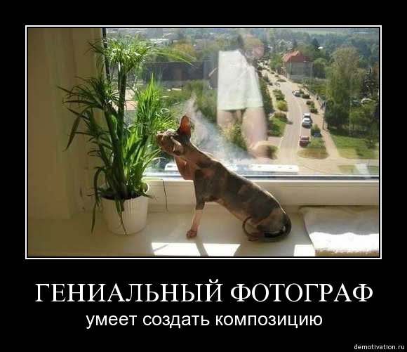 Дмитрий Амбарцумян Diriger | Керчь