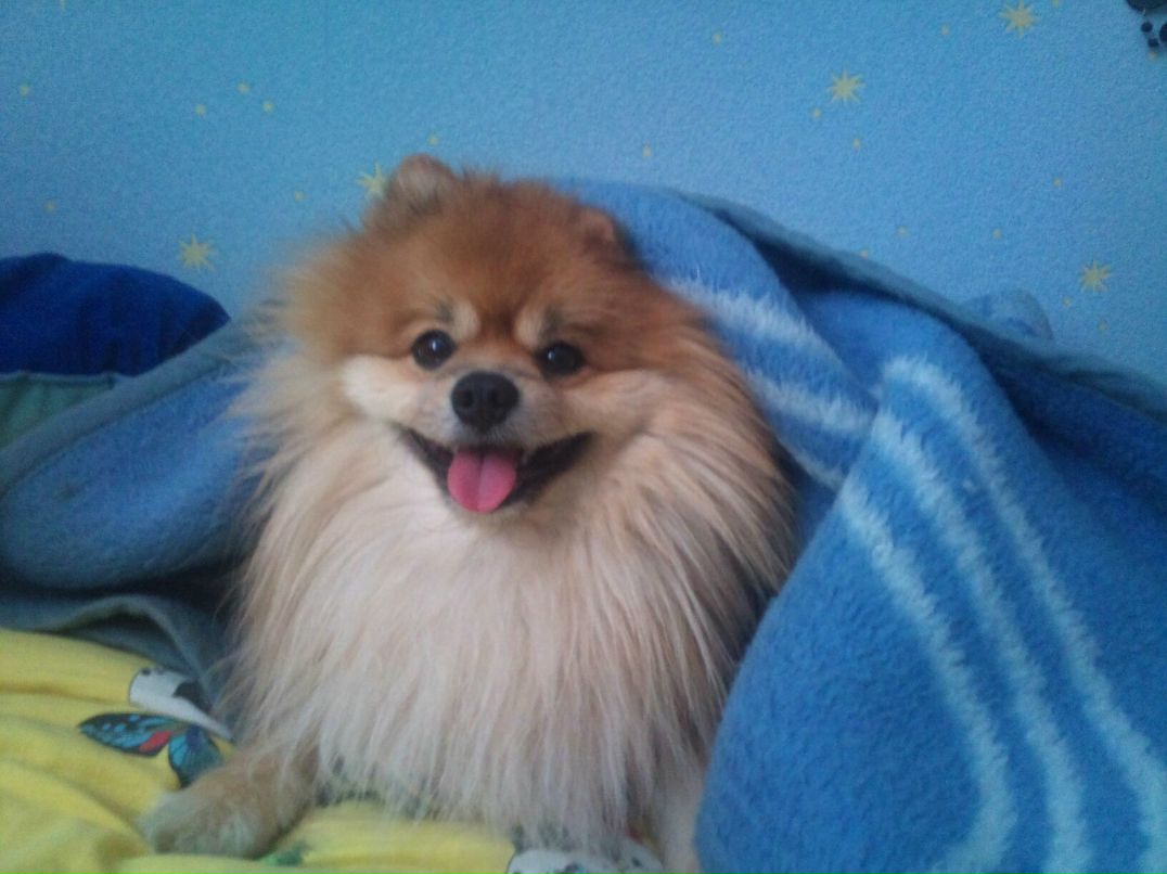 Марина Куваева | Москва