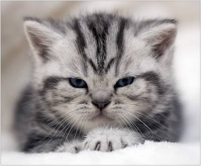 Игорь Рябых | Челябинск