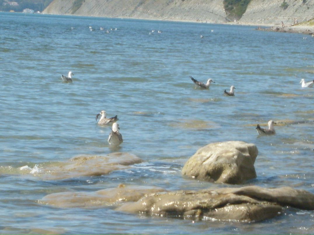 Татьяна Малютина | Тольятти