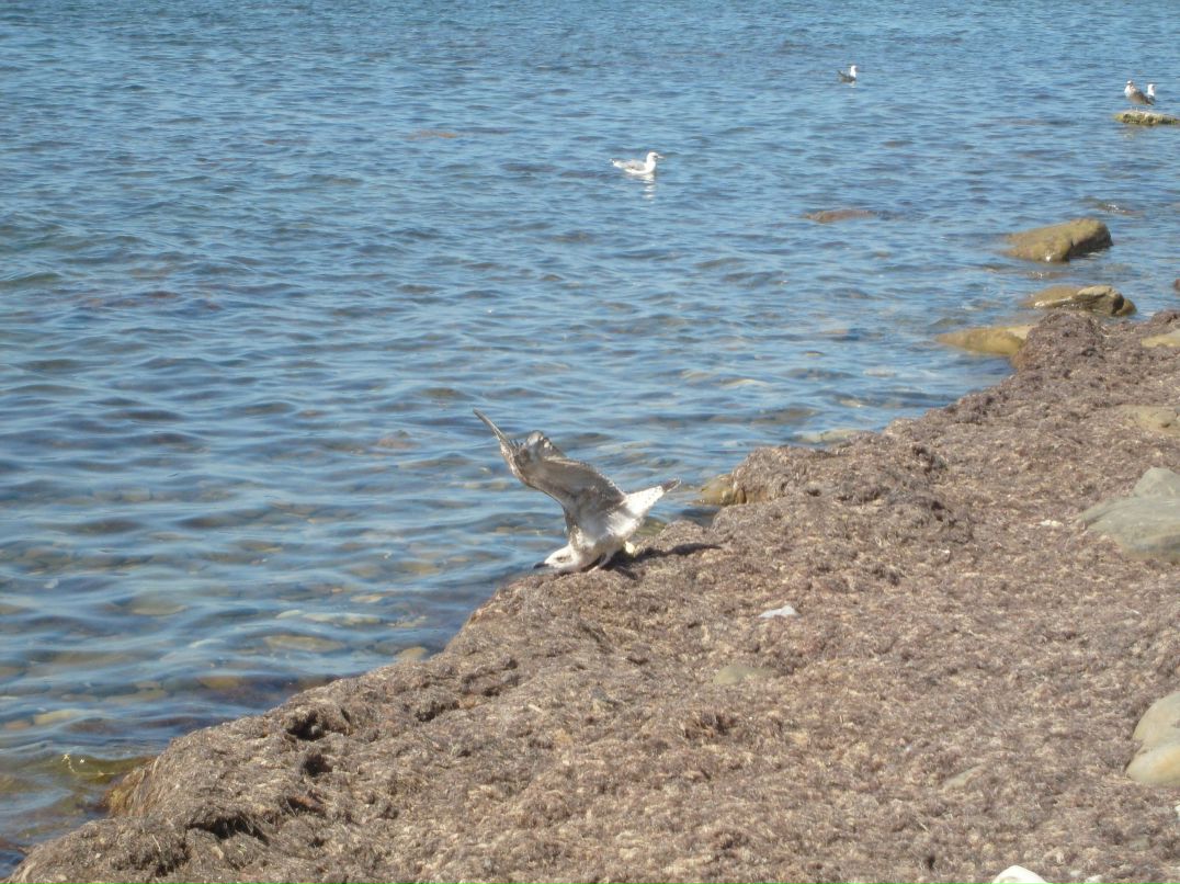 Татьяна Малютина | Тольятти