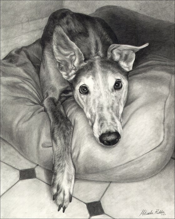 Наталия Пахомова | Чернигов