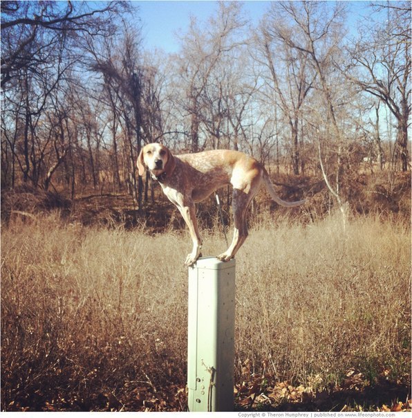 Евгения Смирнова | Запорожье