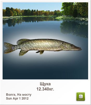 Алексей Сыромятников | Колпино