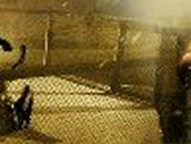 Тимур Утигалиев | Москва