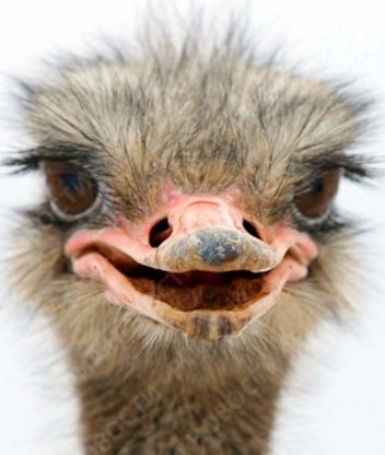 №104, Инна Смирнова №104, Инна Смирнова