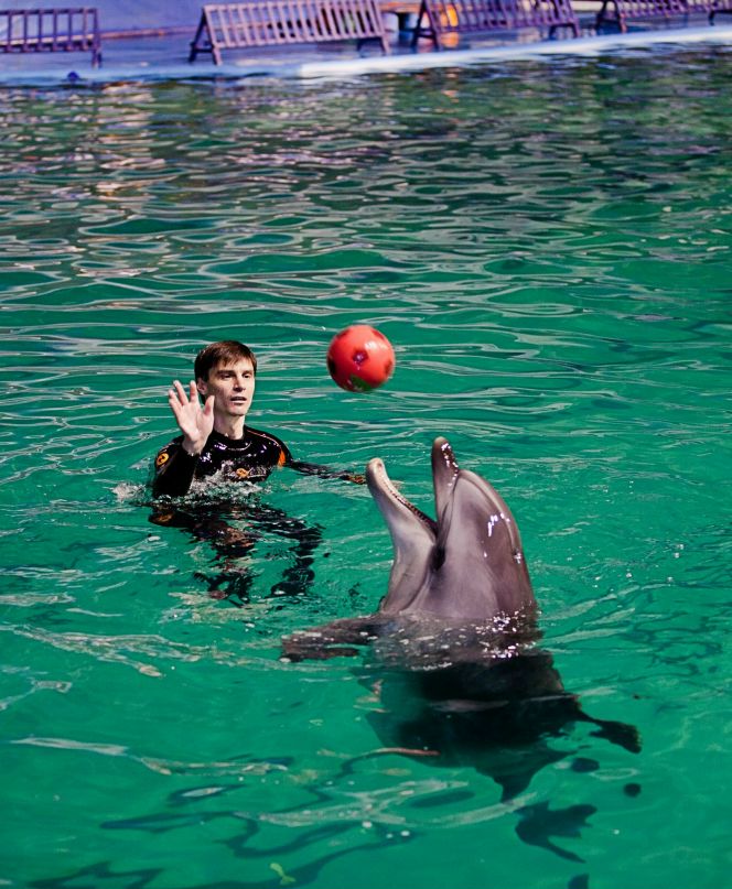 Павел Оборотов | Санкт-Петербург