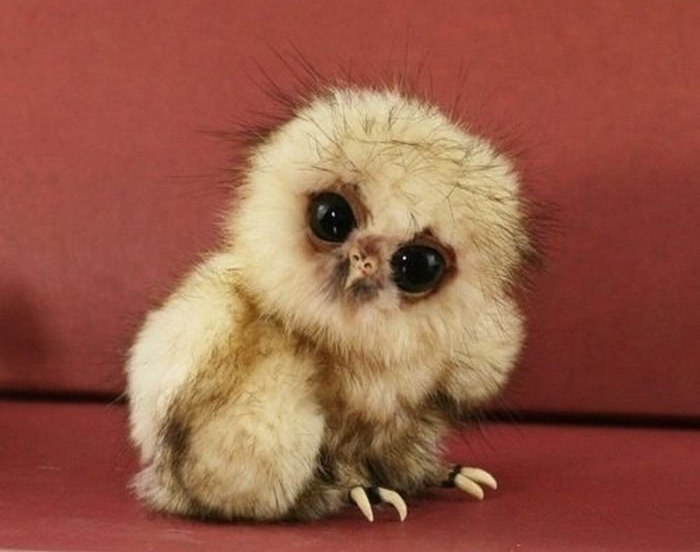 Анна Галянина ★⎛FUCK_ ̿|̿ ̿ ически ̿|̿ ̿ воя⎛ | Запорожье