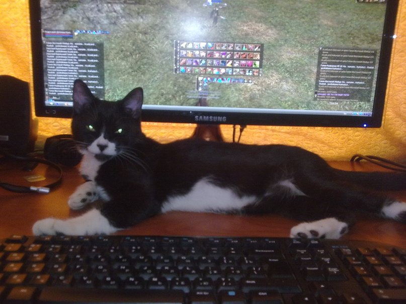 Владислав Наков | Москва