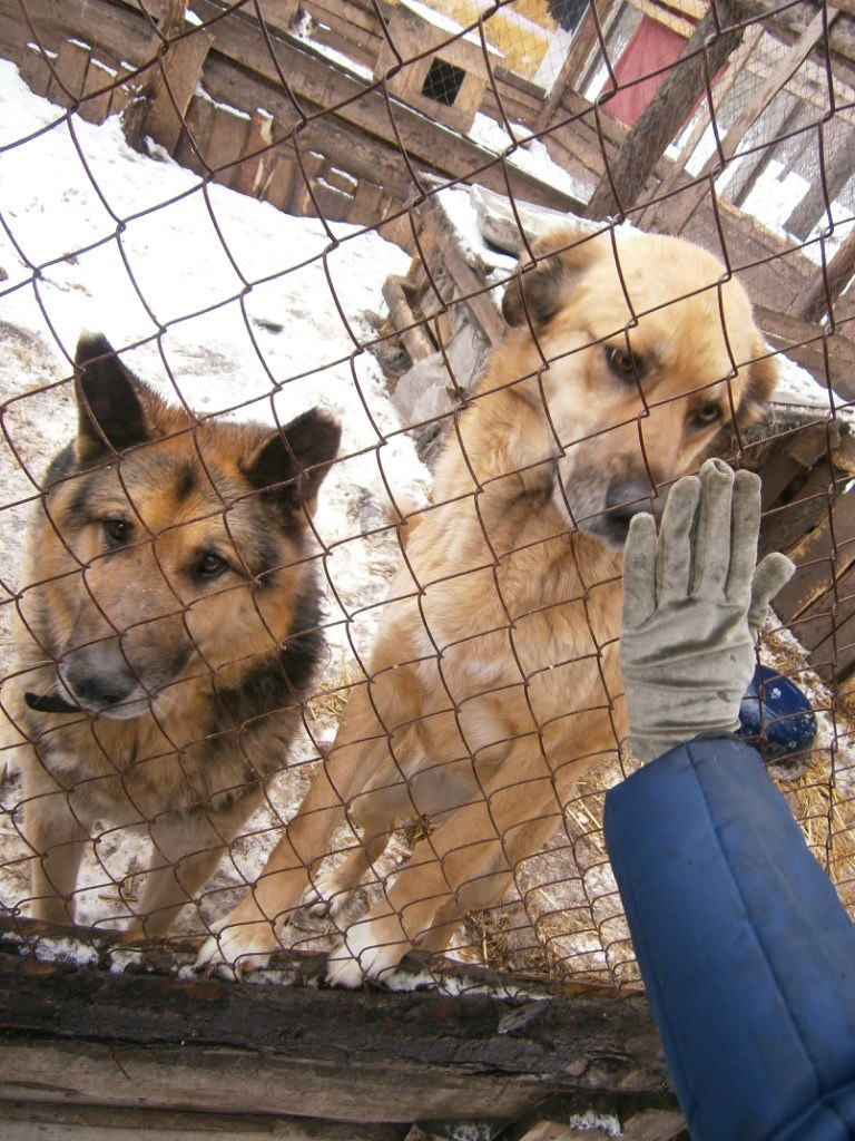 Олександр Брижко | Киев