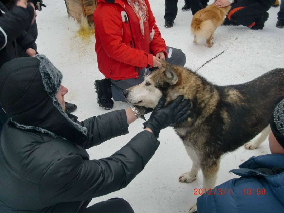 Дмитрий Перекупко | Лубны