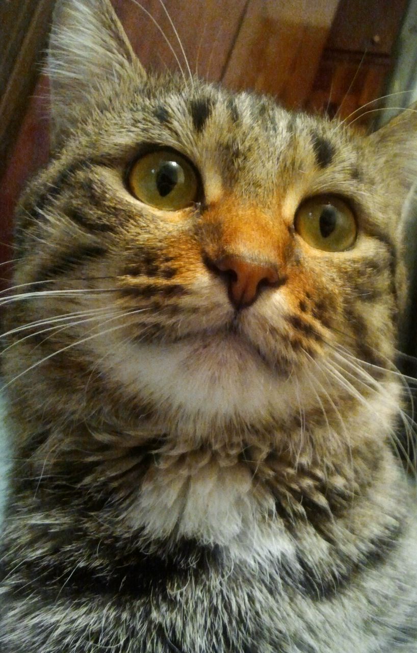 Руслан Халиков | Уфа