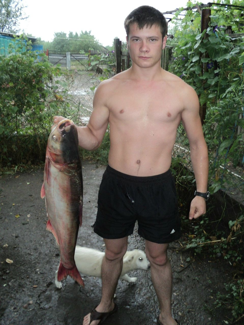 Елена Чеченева | Краснодар