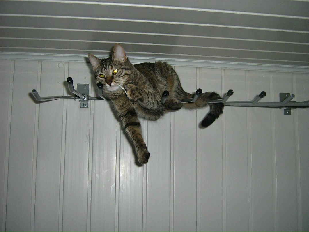 Юля Гетманская | Дмитров