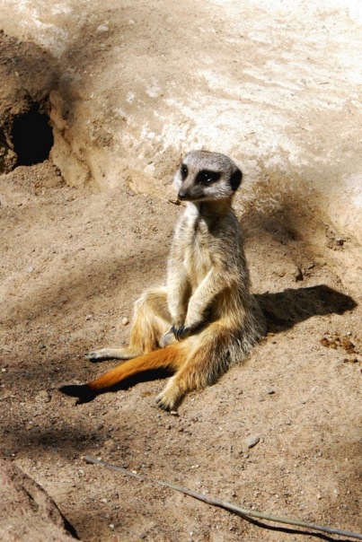 №34, Ренат Габдрахманов, 43 года №34, Ренат Габдрахманов, 43 года