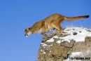 Фотография Красковской Татьяны