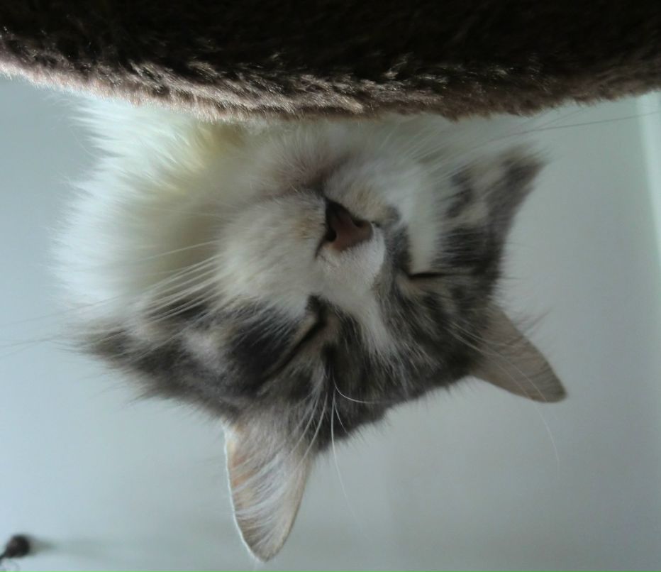 Екатерина Головина | Москва