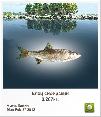 Александр Сироткин | Санкт-Петербург
