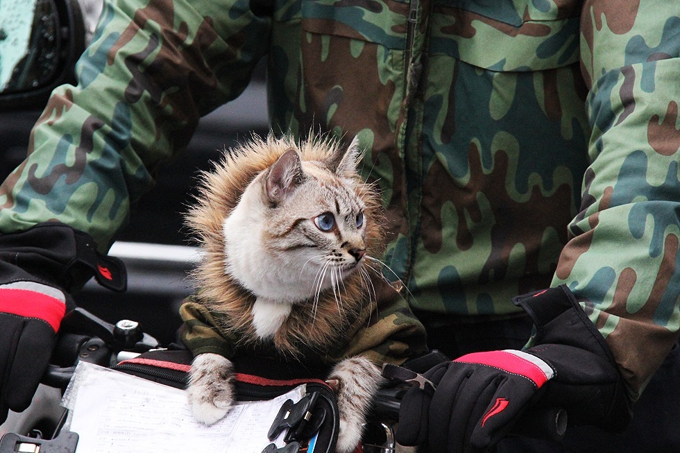 Фото профиля