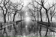 Фотография Галина Долгодворова