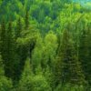 Аватар: Мечеслав Белбог