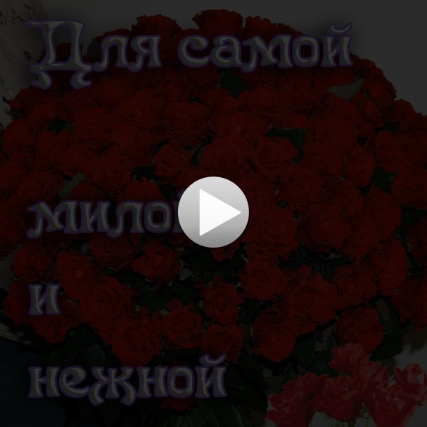 Володя Смирнов | Череповец