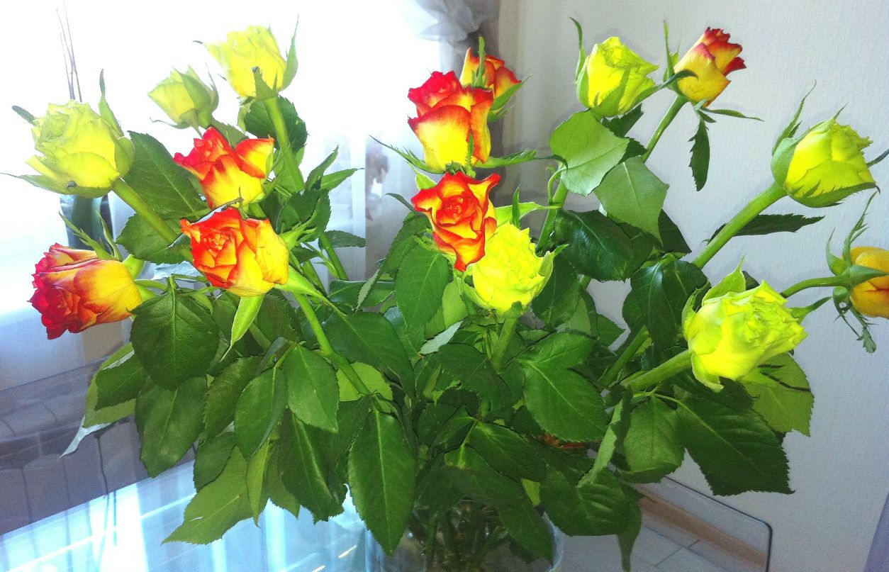 Светлана Кобзева | Санкт-Петербург