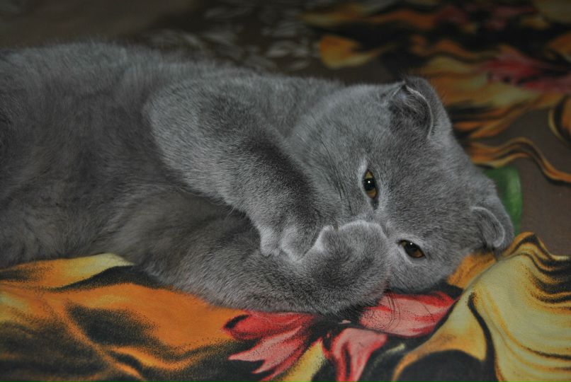 Павел Кирюшкин Device | Москва