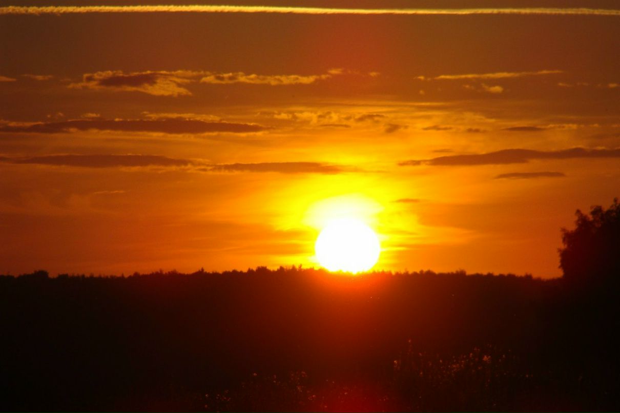 Наталья Меркулова | 