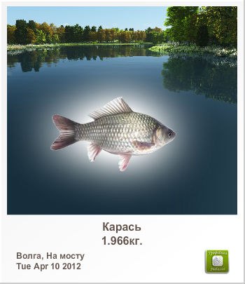 Гена Чевгуз | Сумы