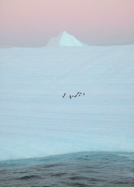 №26, Алина Никифорова, 31 год, Днепр (Днепропетровск) №26, Алина Никифорова, 31 год, Днепр (Днепропетровск)