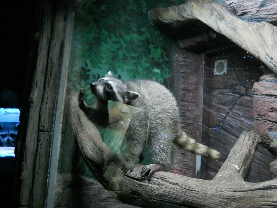 Анютка Ярыгина | Калининград