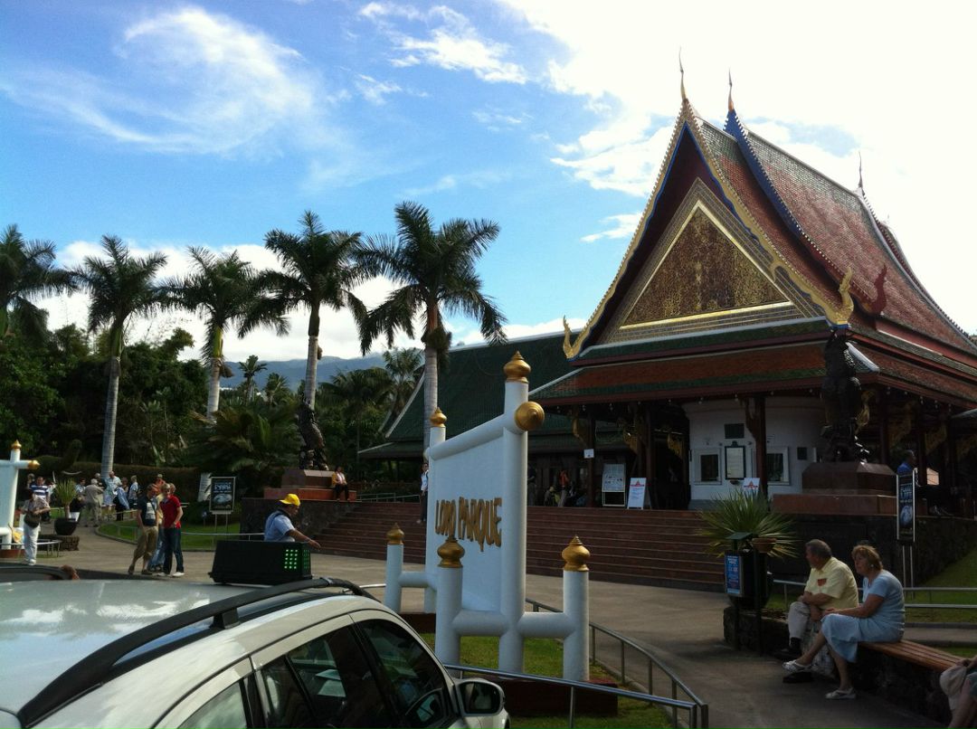 Марья Юнусова | Краснодар