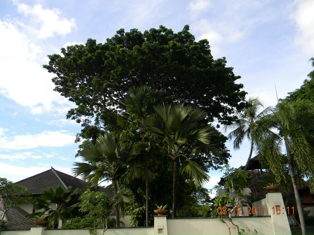 Станислав Картёжников | Челябинск