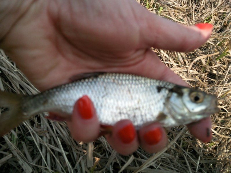 Дмитрий Сысоев | Москва